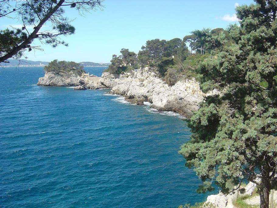 Esprit Cocooning -Proche Centre- Apartment Toulon Bagian luar foto